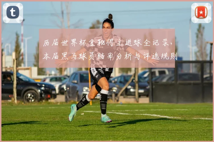 历届世界杯金靴得主进球全记录,本届黑马球员赔率分析与评选规则详解
